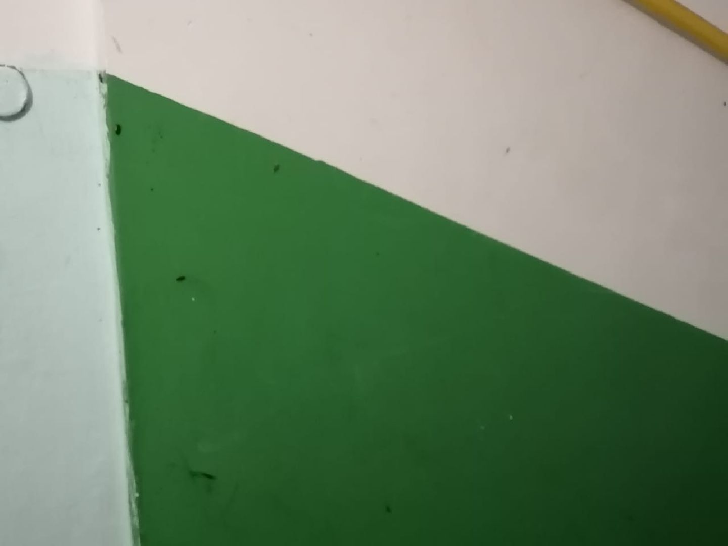 Лобня, ЖКХ, таракан