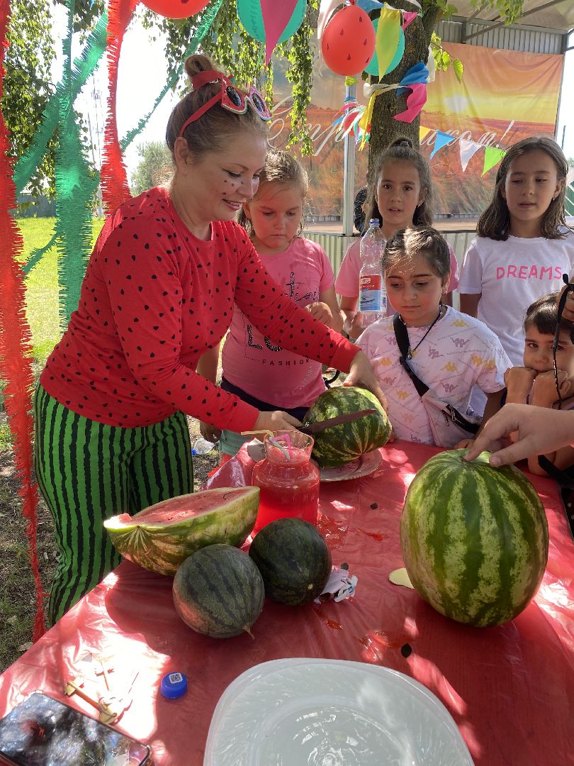 арбузы, Воскресенск, лето, бахчевые развалы