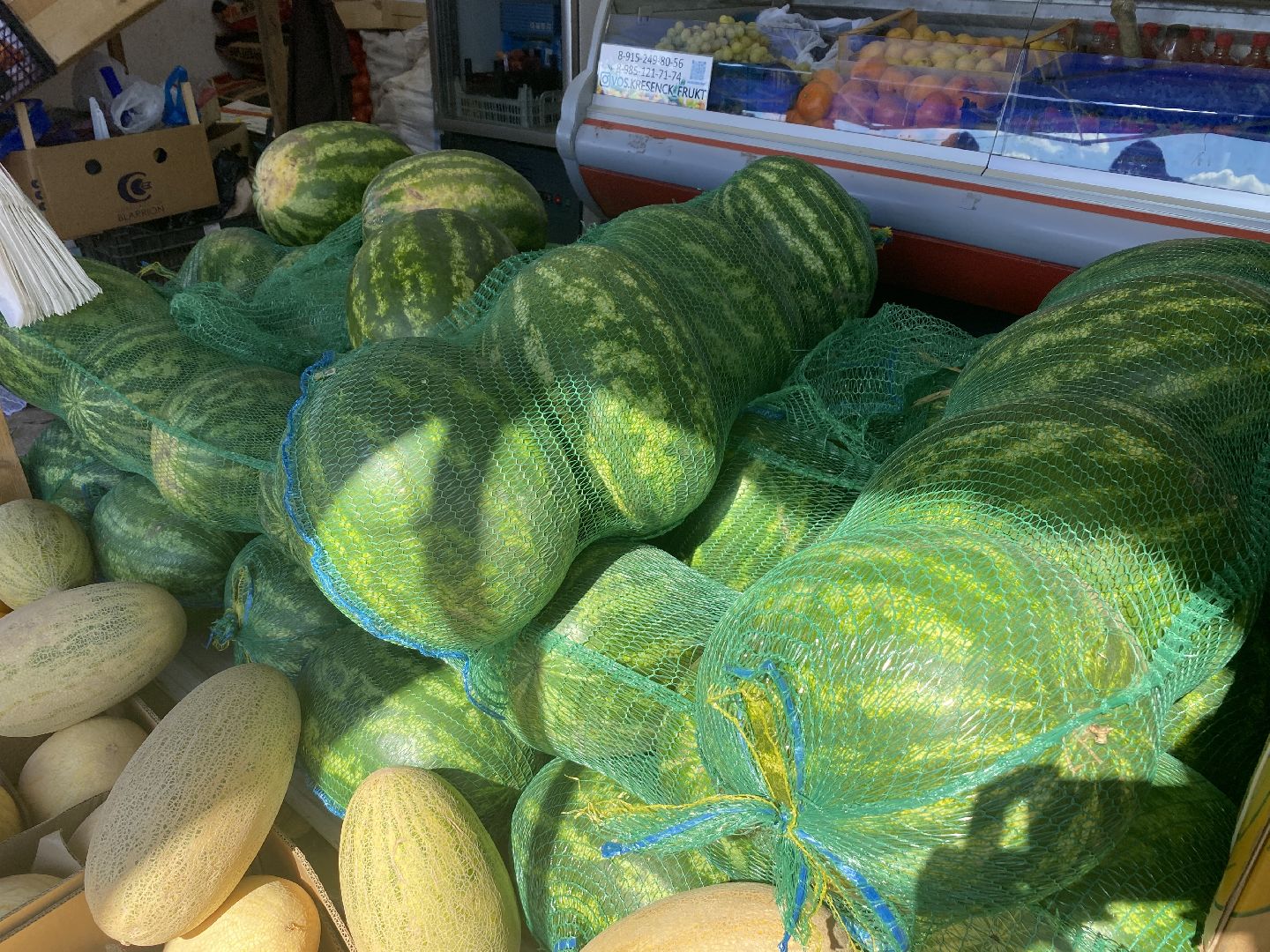 арбузы, Воскресенск, лето, бахчевые развалы