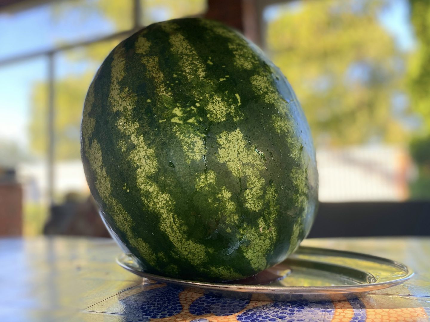 арбузы, Воскресенск, лето, бахчевые развалы