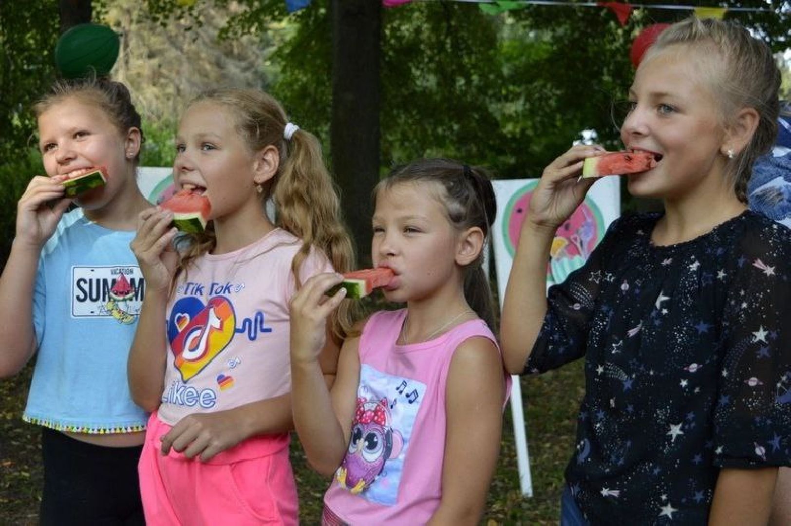 арбузы, Воскресенск, лето, бахчевые развалы
