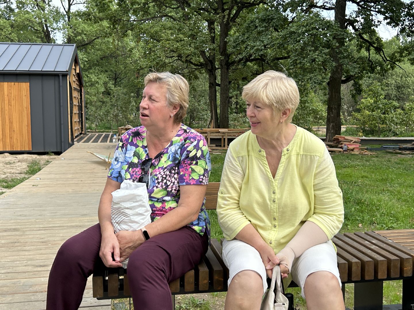 благоустройство, лесопарк, Фрязино