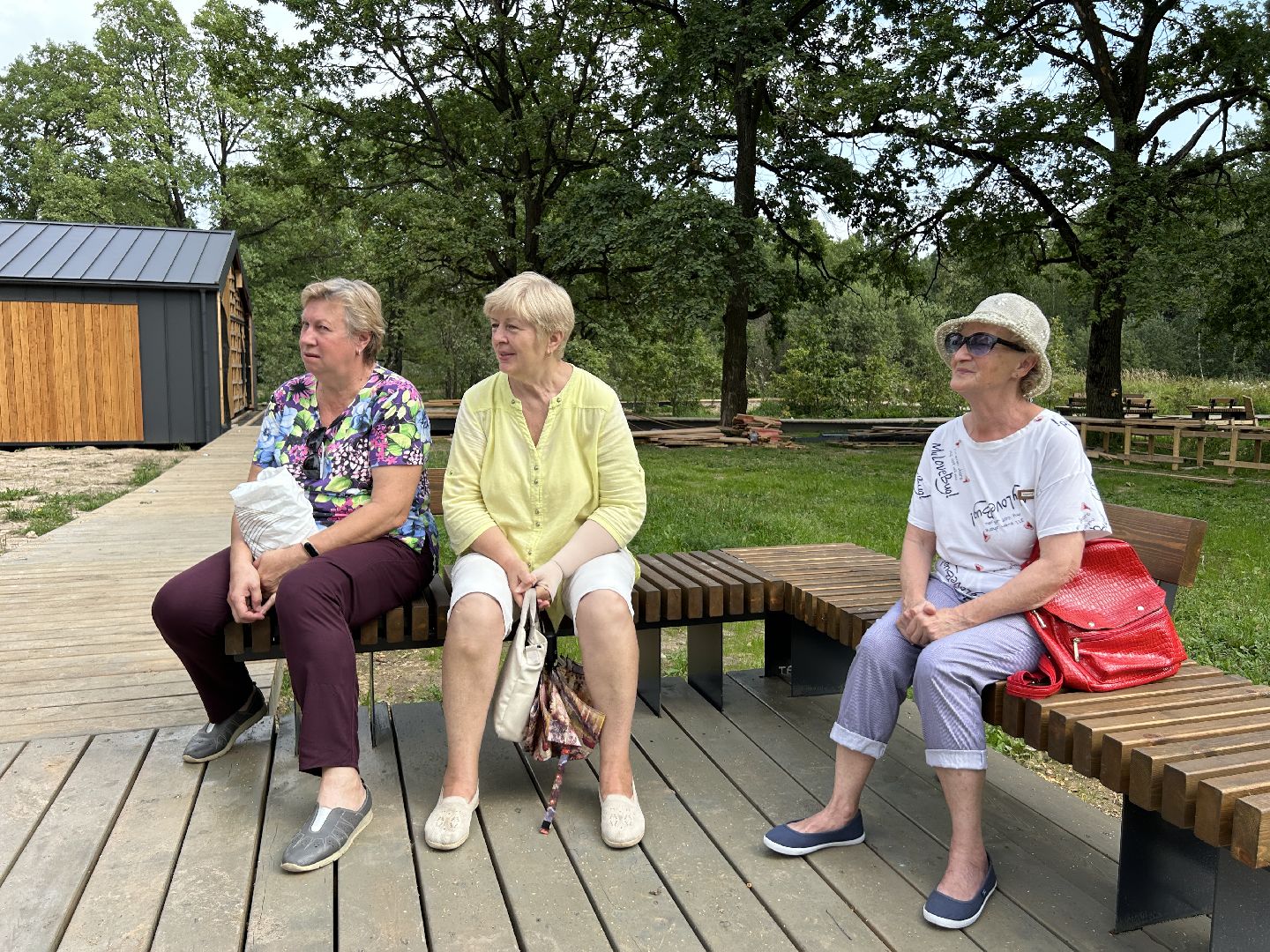 благоустройство, лесопарк, Фрязино