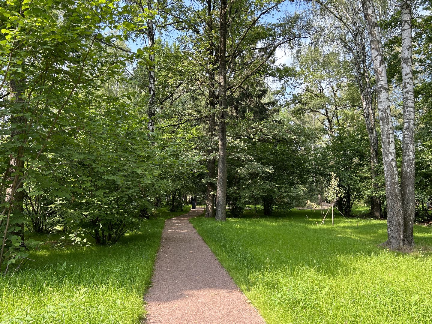 благоустройство, лесопарк, Фрязино