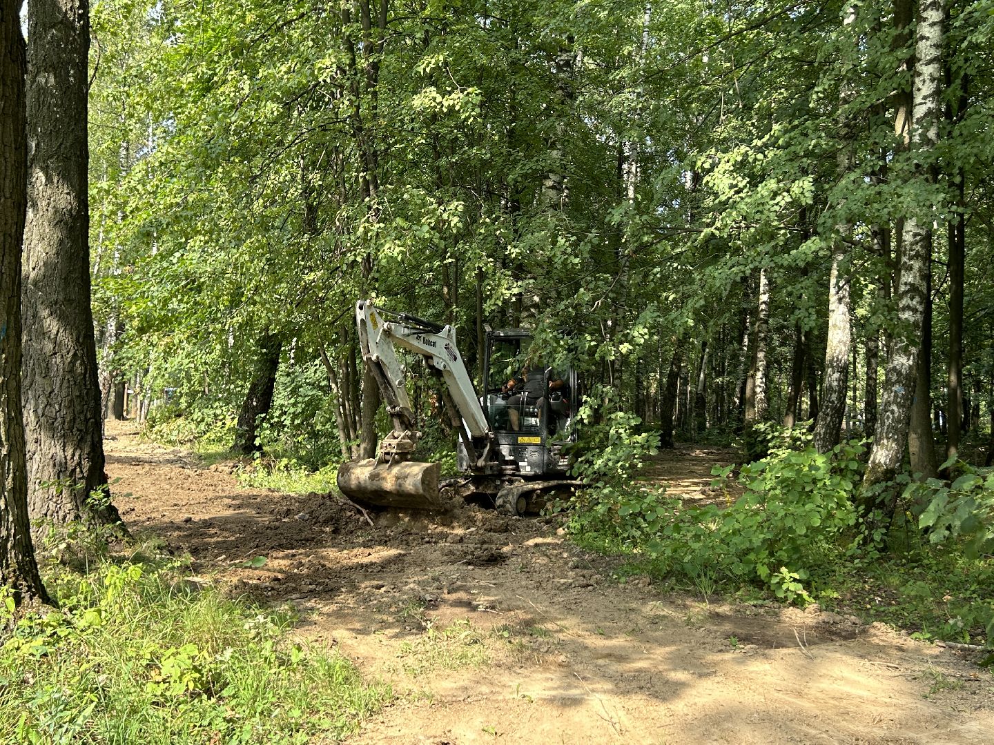 благоустройство, лесопарк, Фрязино