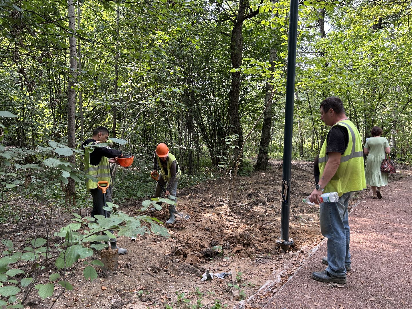 благоустройство, лесопарк, Фрязино