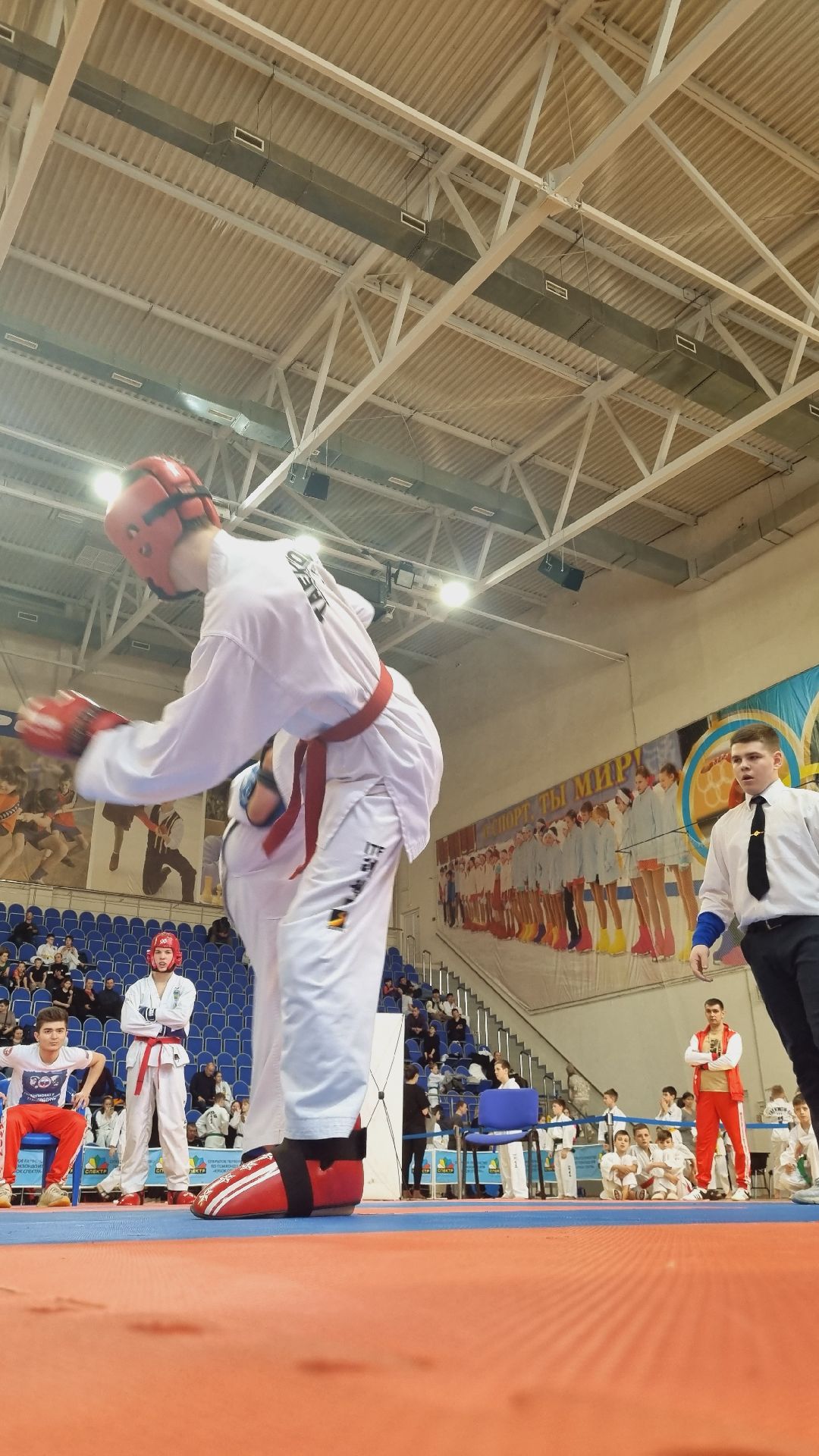 Подмосковье, Ивантеевка, спорт, тхэквондо