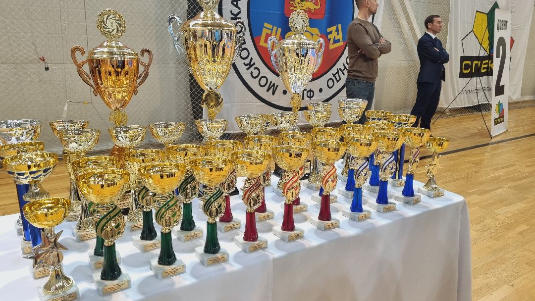 Подмосковье, Ивантеевка, спорт, тхэквондо