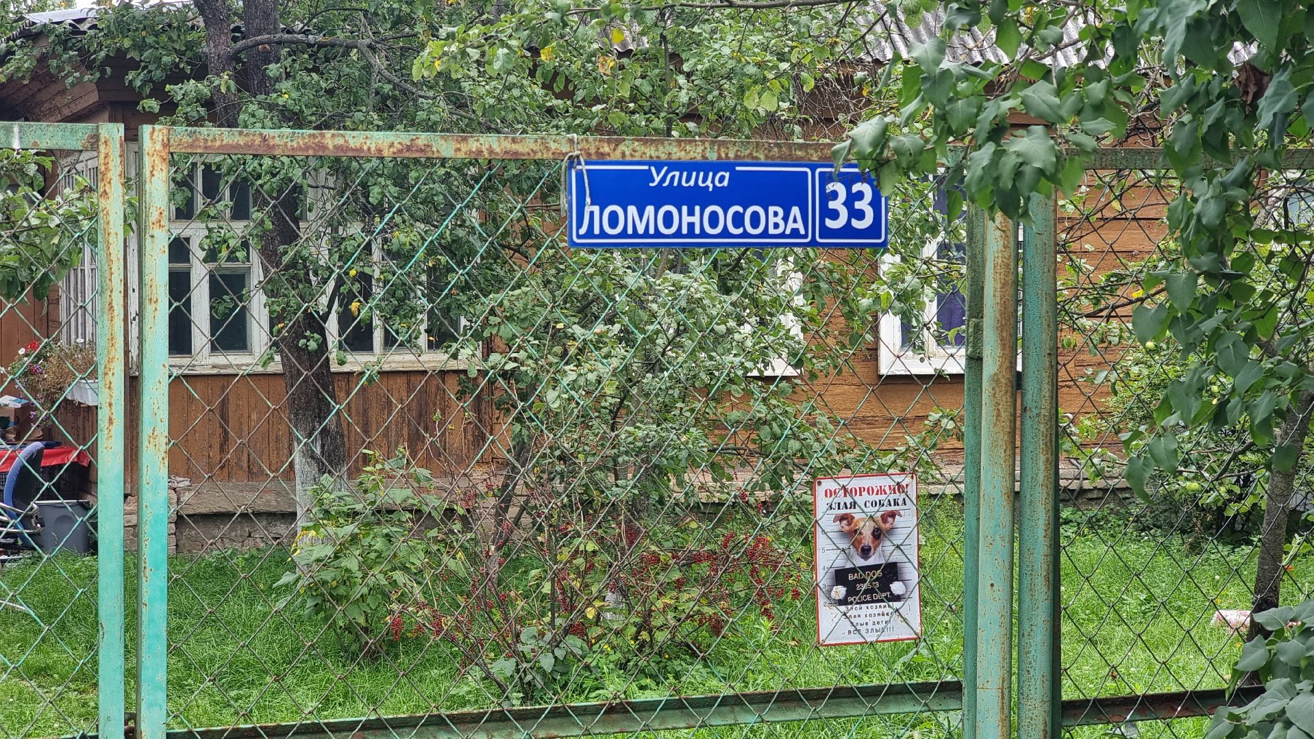 SOS, брошенные собаки, породистые собаки, разведенцы, жестокое обращение с животными, Томилино