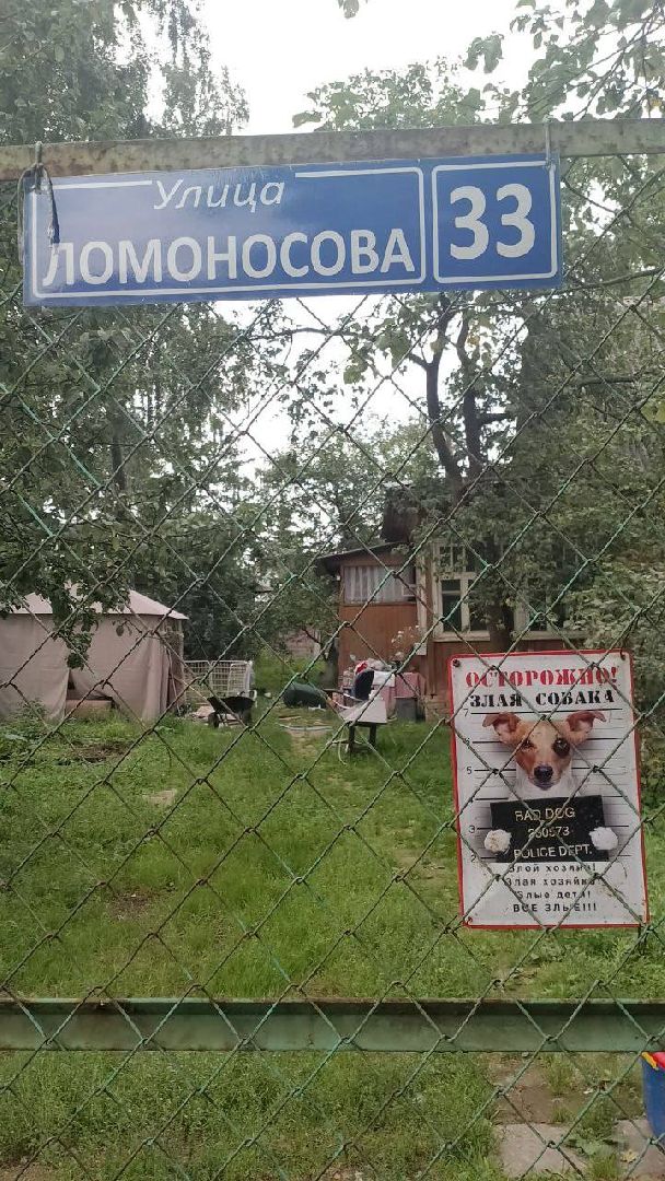 SOS, брошенные собаки, породистые собаки, разведенцы, жестокое обращение с животными, Томилино