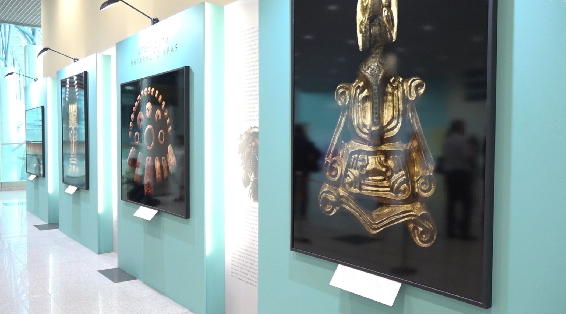 Янтарный край, выставка, аэропорт Домодедово