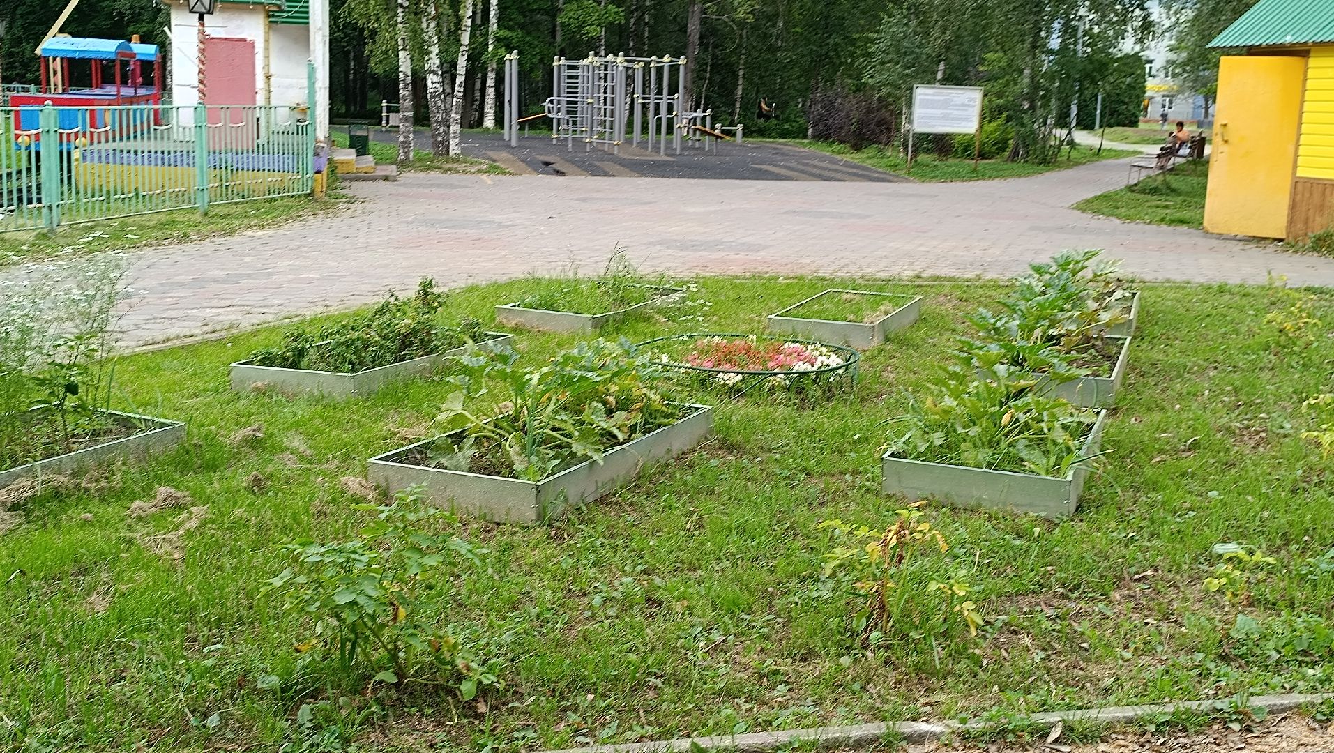 Лобня, огород, парк