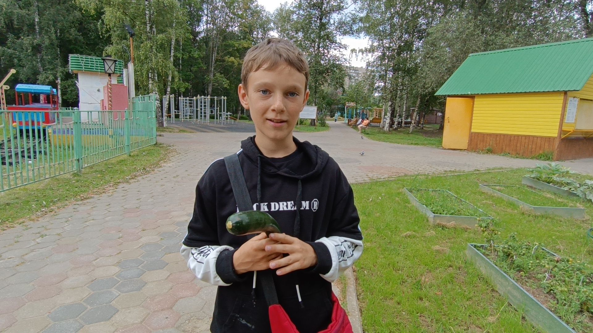 Лобня, огород, парк