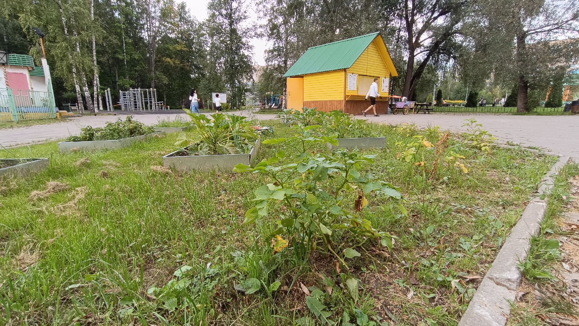 Лобня, огород, парк