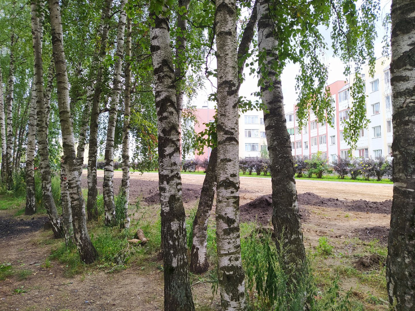 Благоустройство, Чёрная, Дедовск, Нахабино, работы, Истра