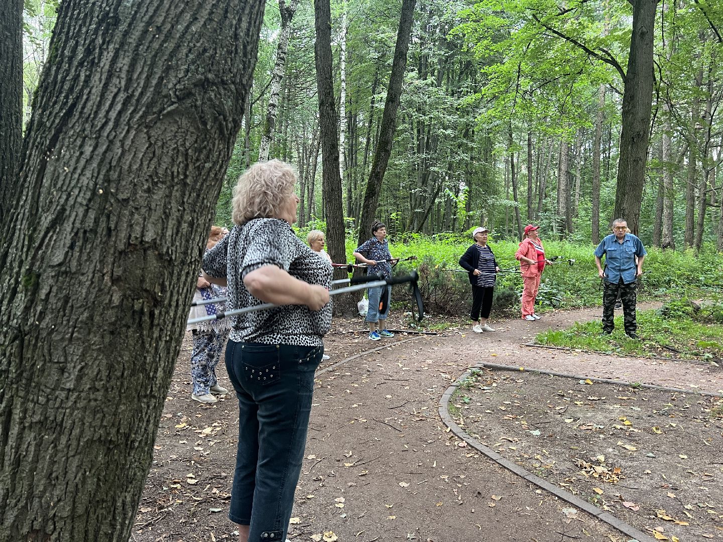 Химки, спорт, Активное долголетие, скандинавская ходьба, День физкультурника