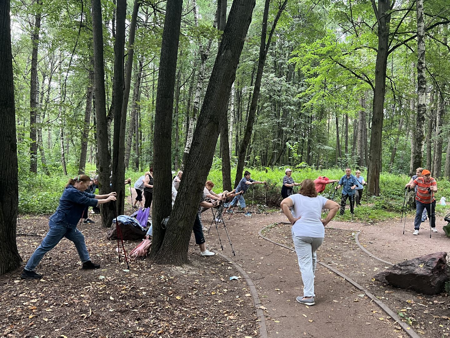 Химки, спорт, Активное долголетие, скандинавская ходьба, День физкультурника