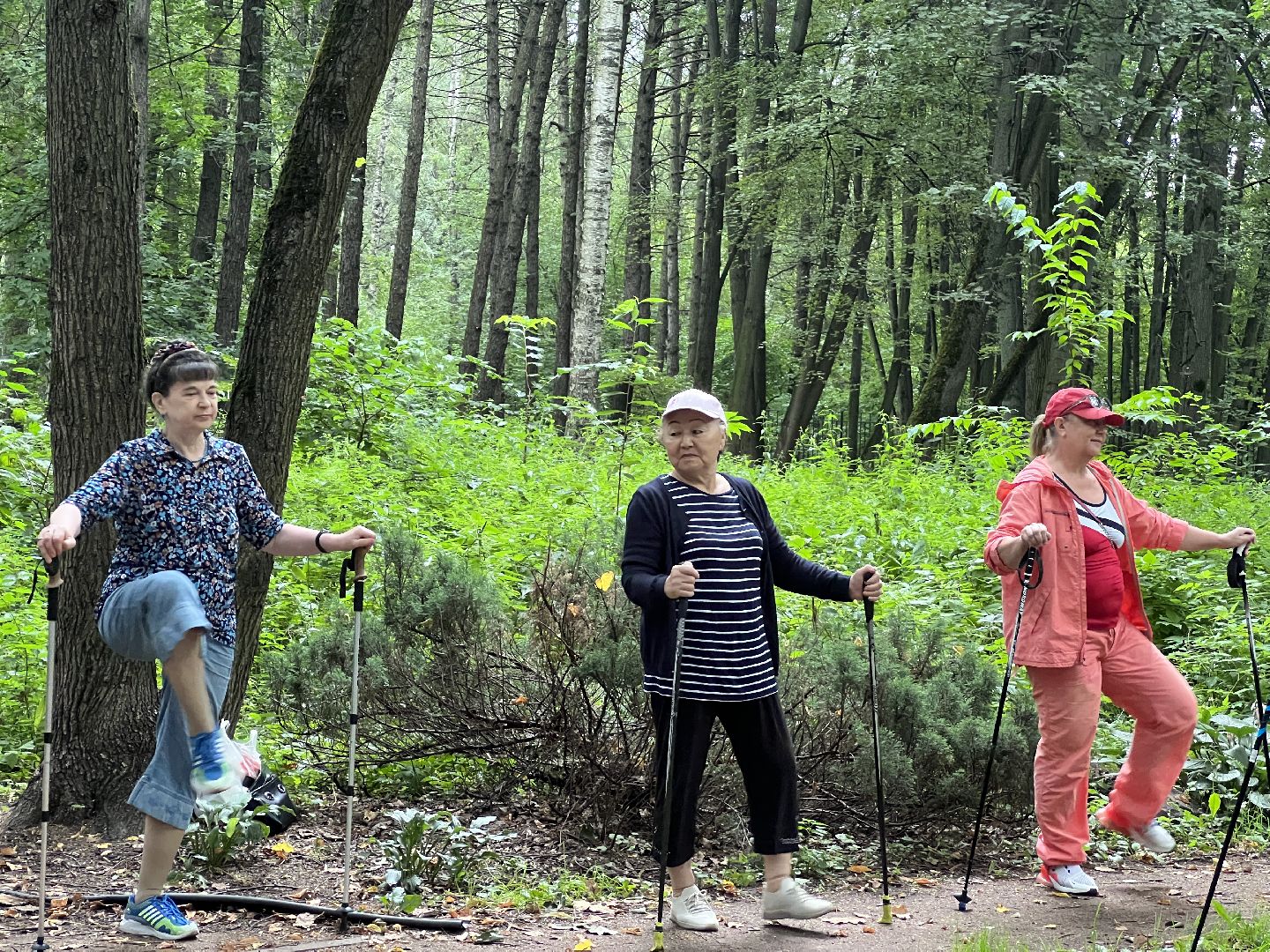 Химки, спорт, Активное долголетие, скандинавская ходьба, День физкультурника