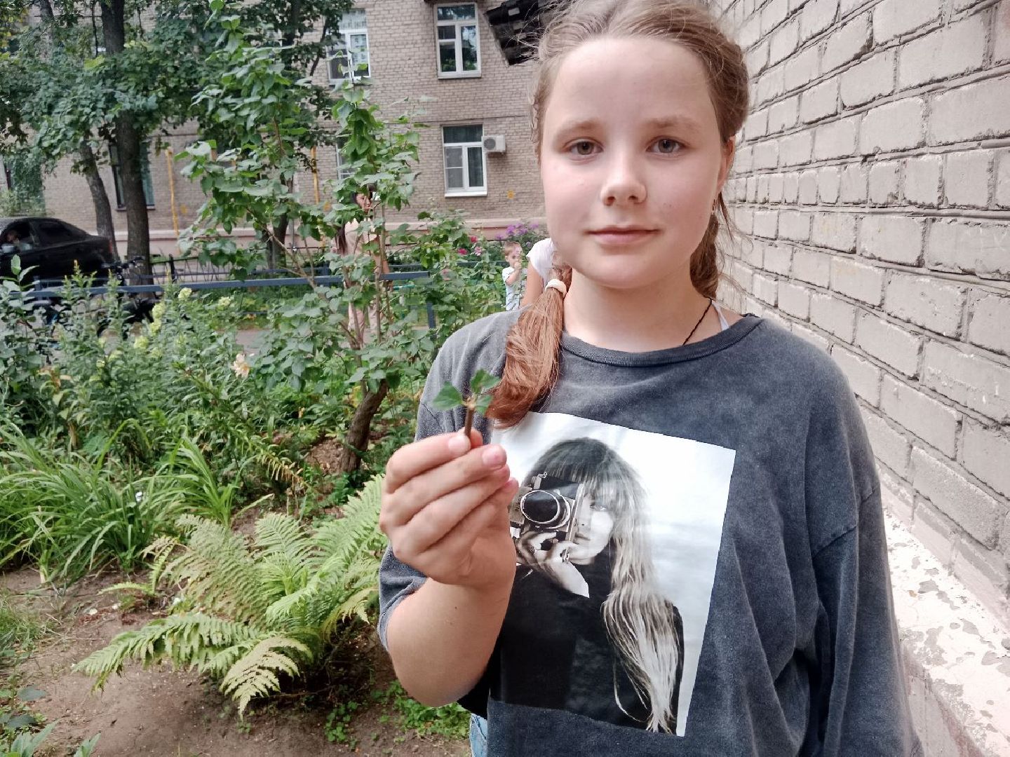 Город-сад, волонтёры, черенкование, растения, многолетники