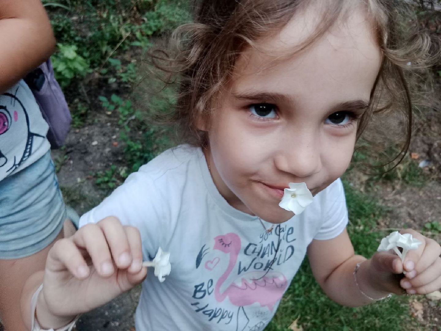 Город-сад, волонтёры, черенкование, растения, многолетники