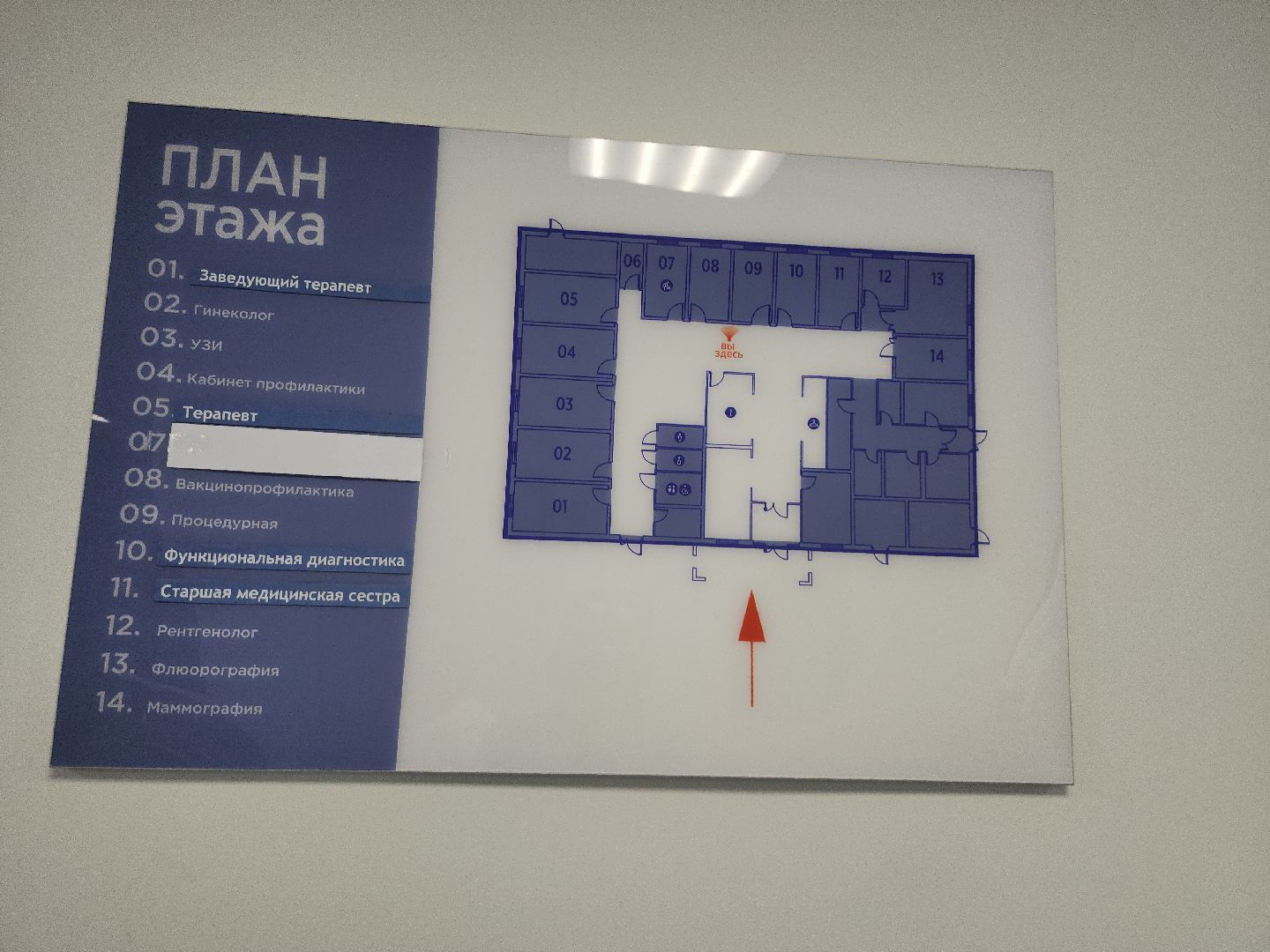 здоровье; здравоохранение; медицина; видное; врачи