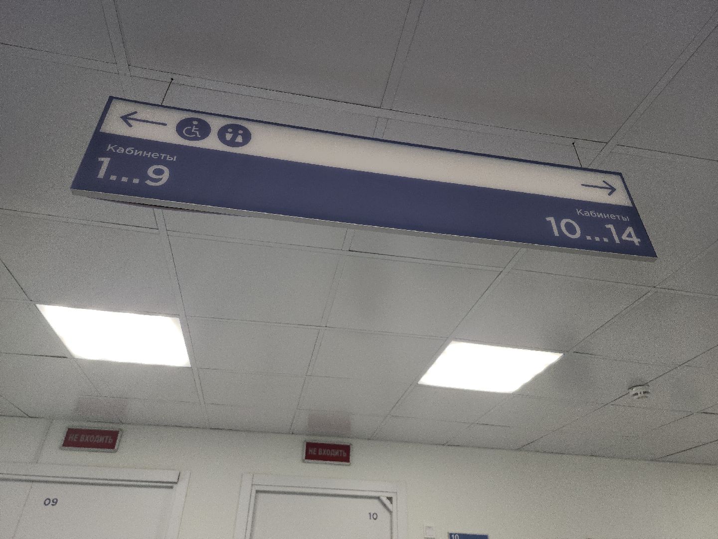 здоровье; здравоохранение; медицина; видное; врачи