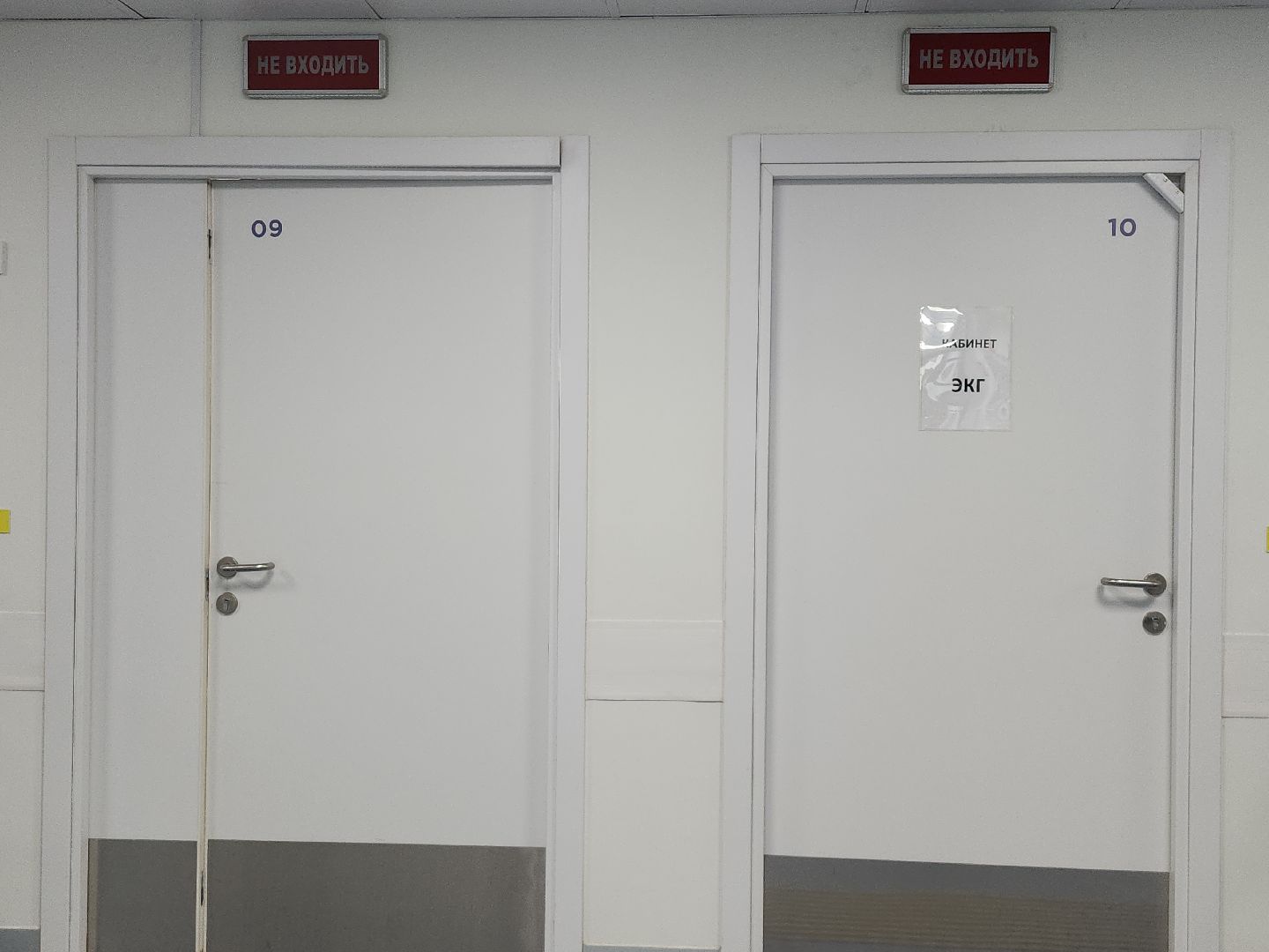 здоровье; здравоохранение; медицина; видное; врачи