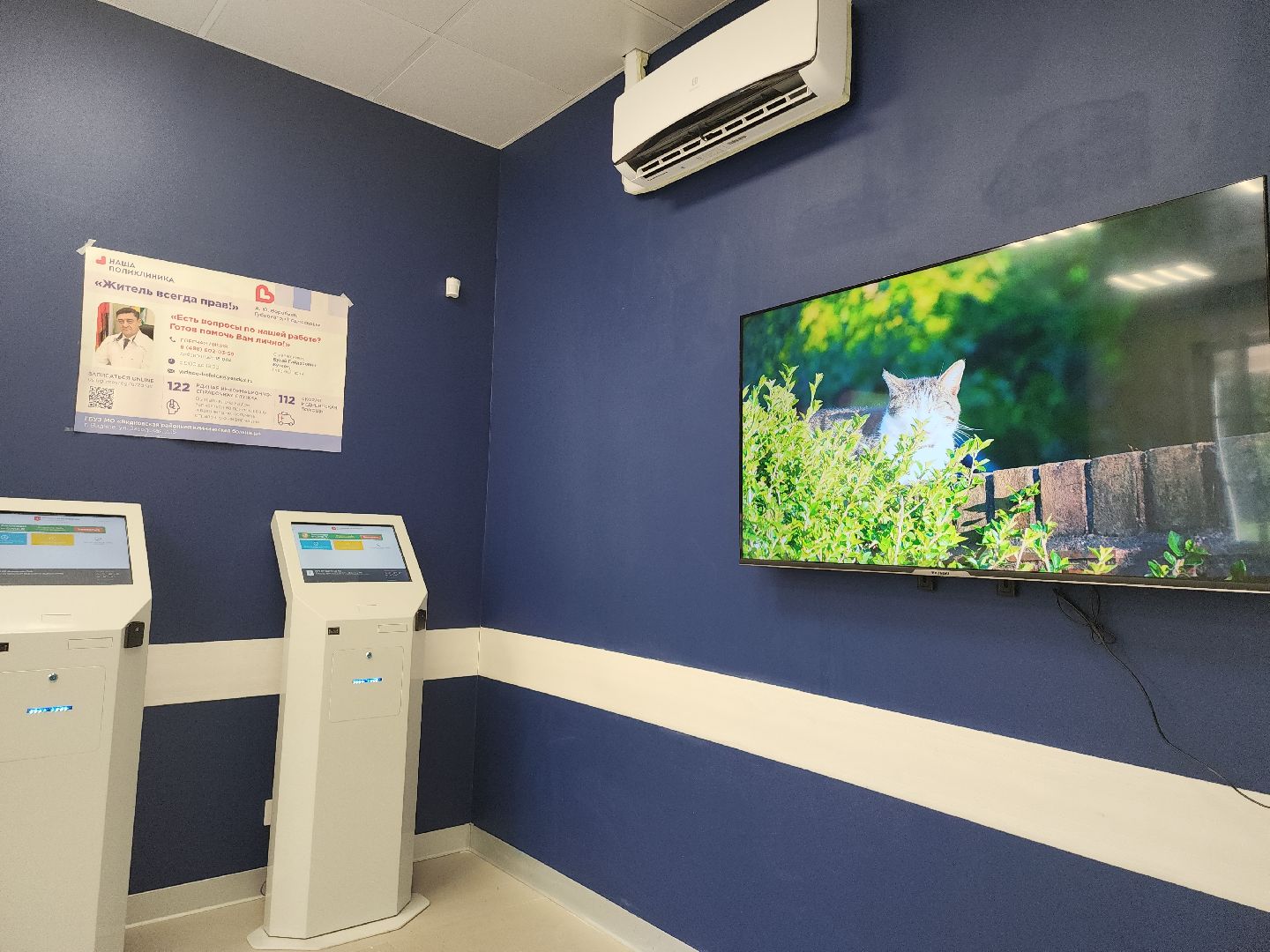 здоровье; здравоохранение; медицина; видное; врачи