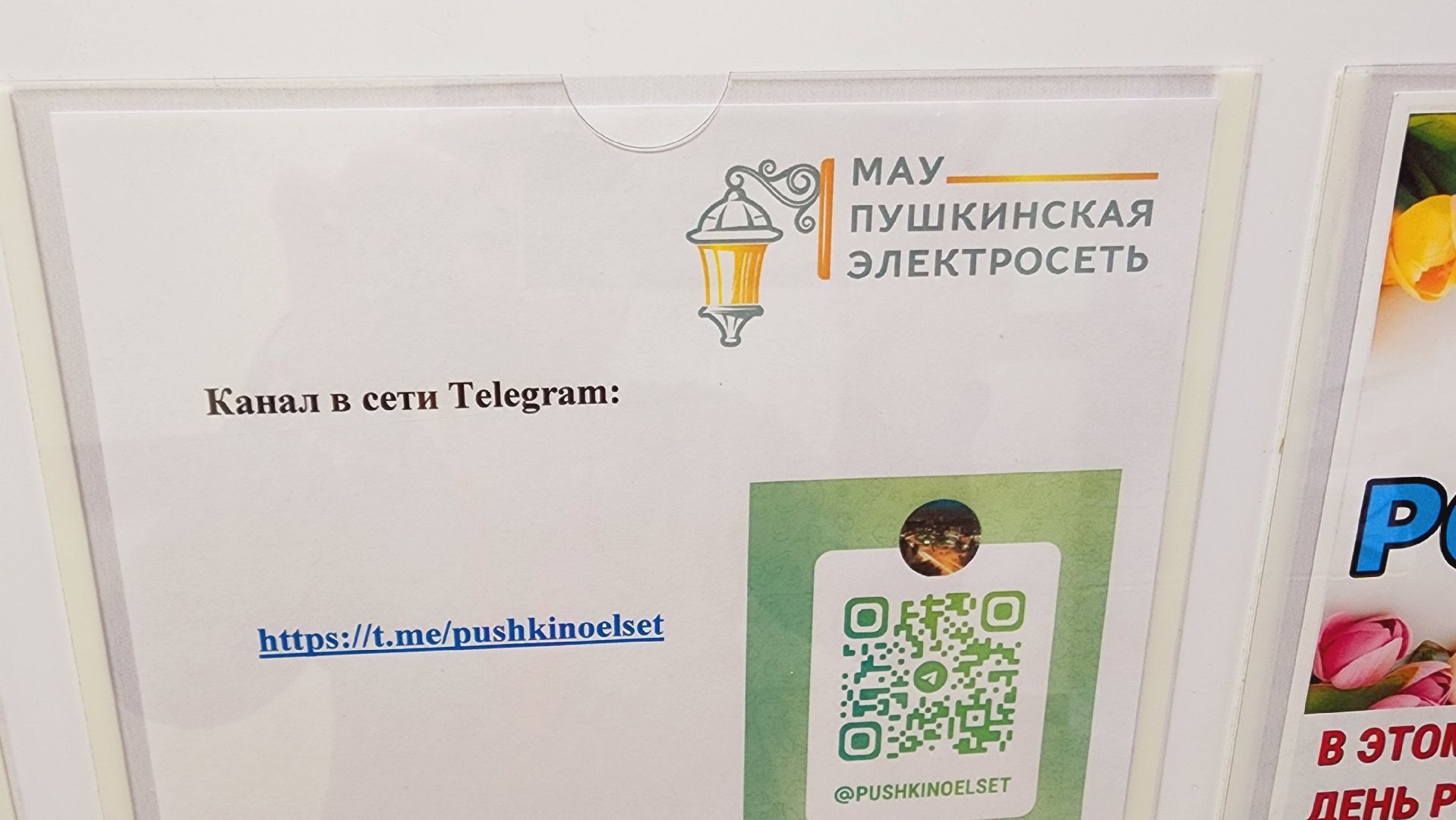 Подмосковье, Городской округ Пушкинский, Пушкинская электросеть