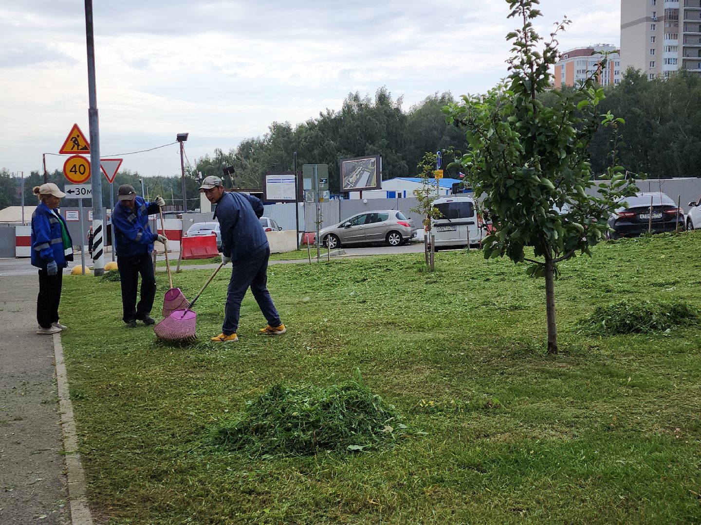 жкх; благоустройство; покос; видное