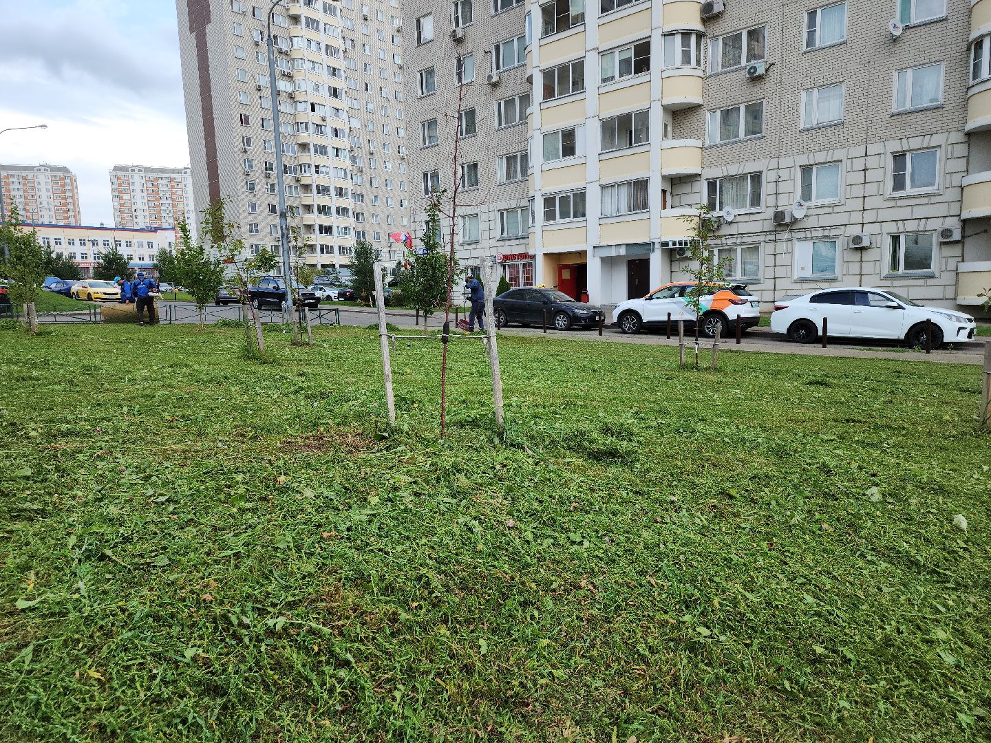 жкх; благоустройство; покос; видное