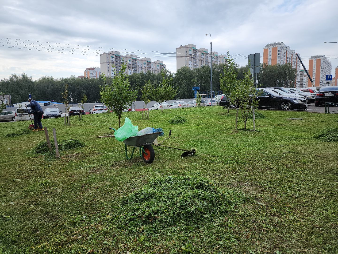 жкх; благоустройство; покос; видное