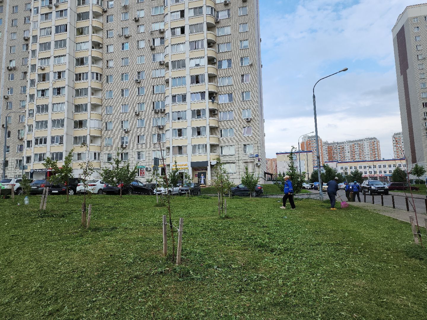 жкх; благоустройство; покос; видное