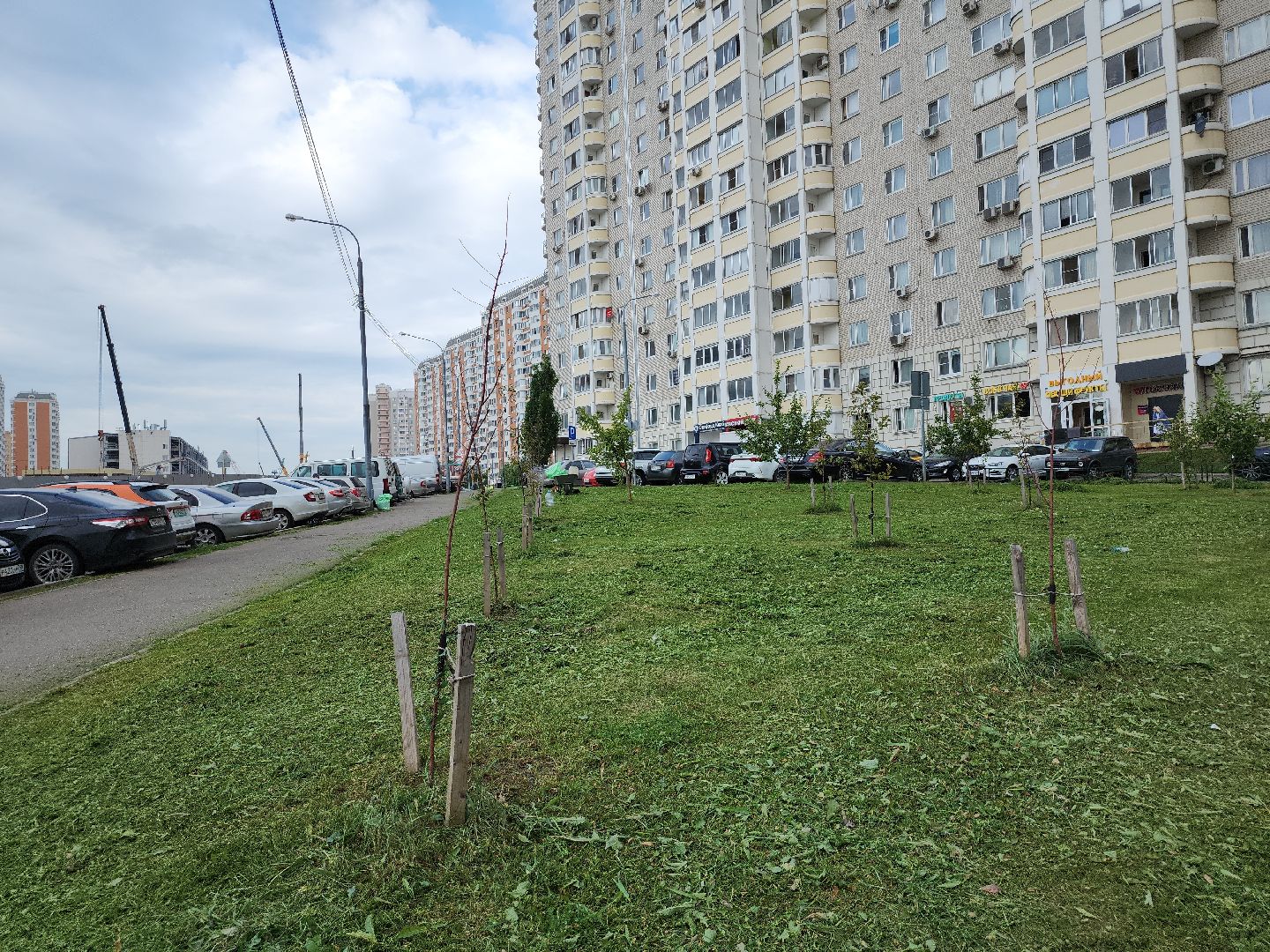 жкх; благоустройство; покос; видное