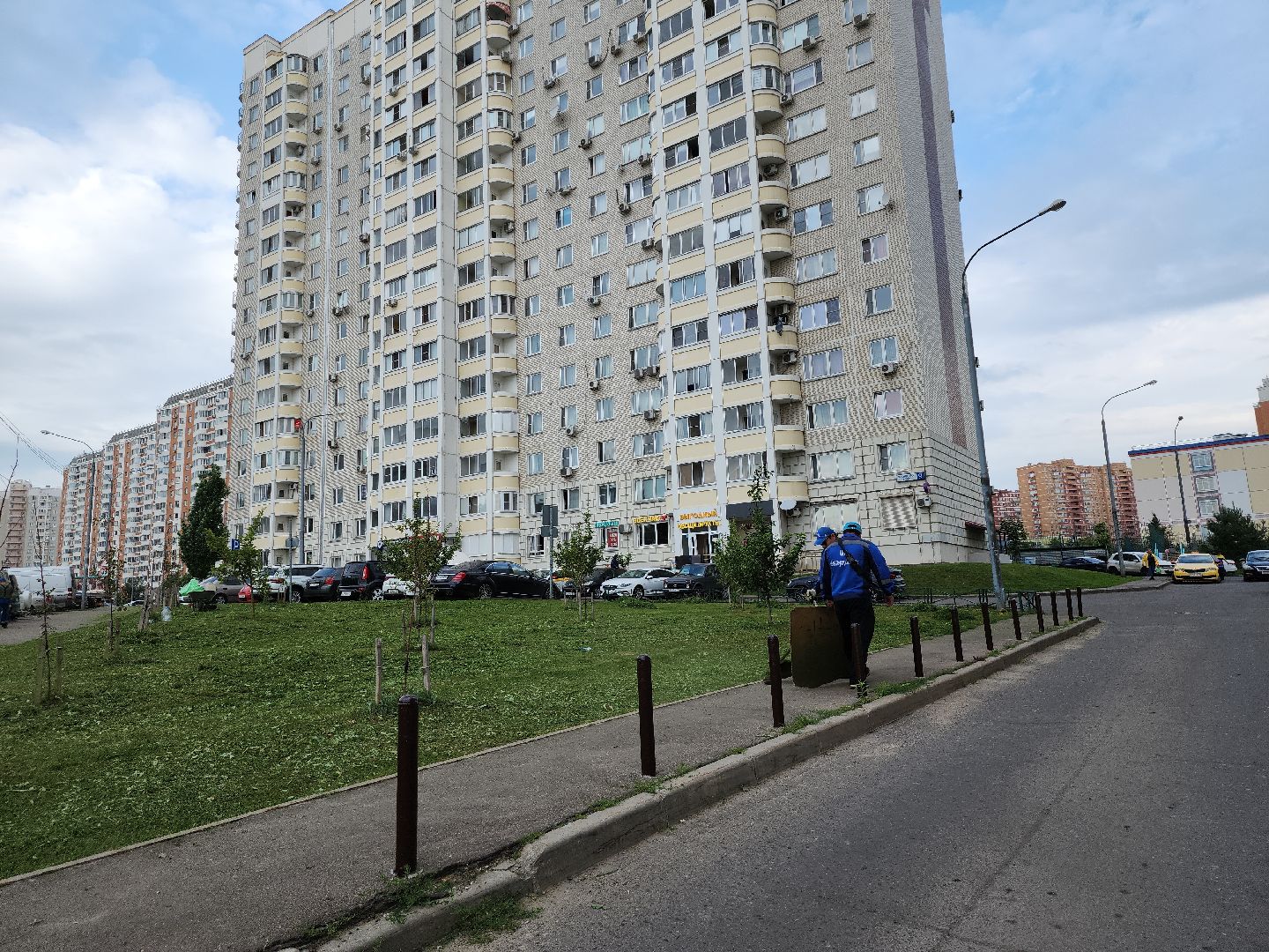 жкх; благоустройство; покос; видное