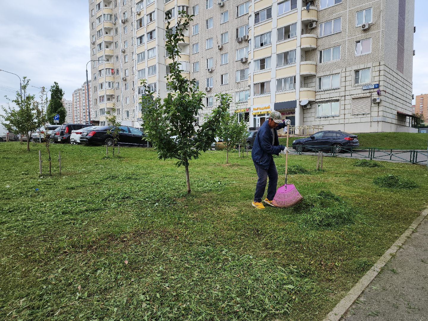 жкх; благоустройство; покос; видное