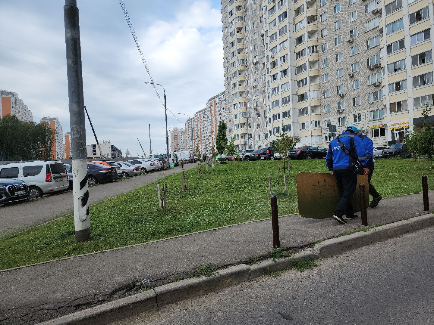 жкх; благоустройство; покос; видное