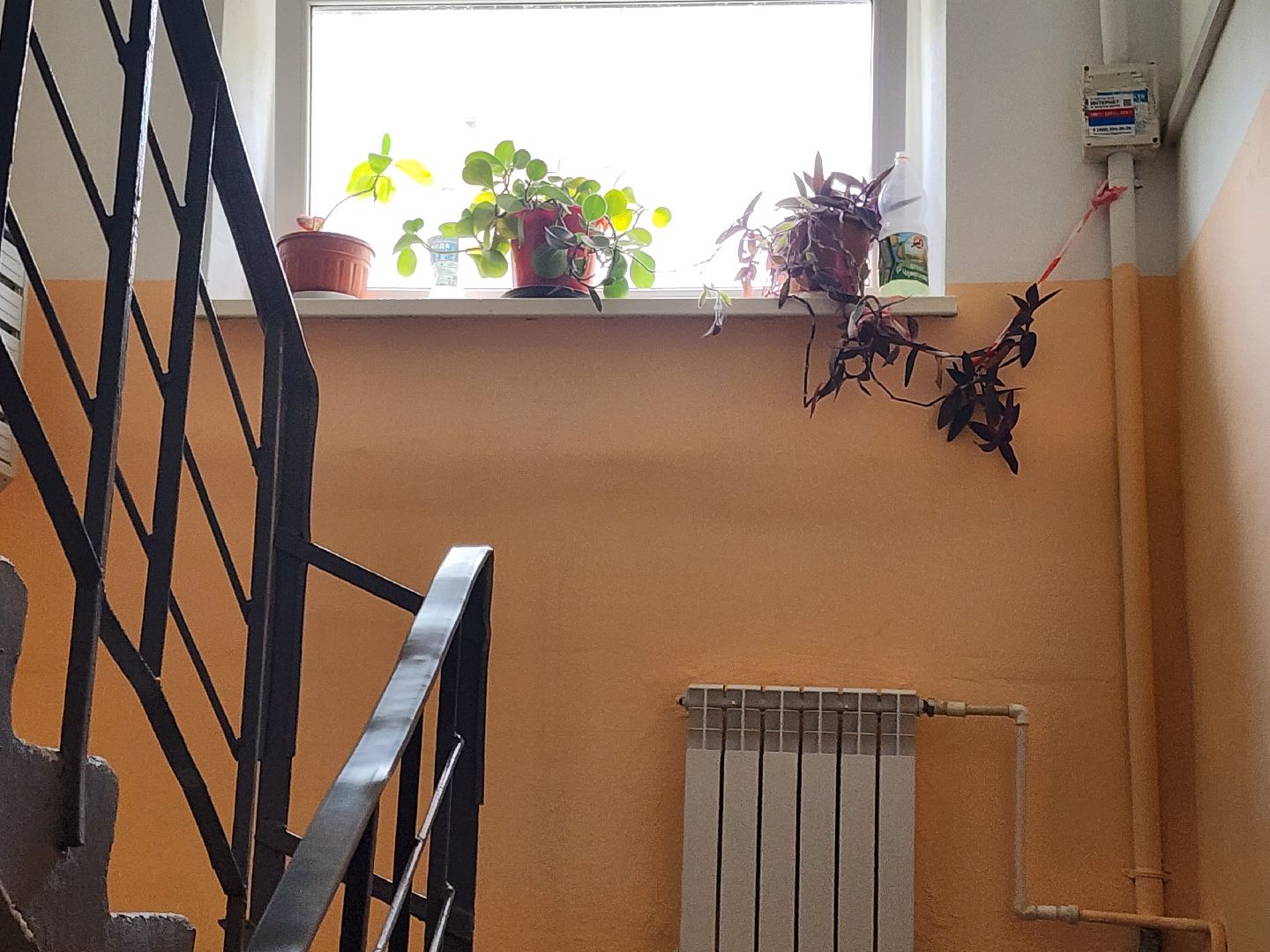 Звенигород, благоустройство,