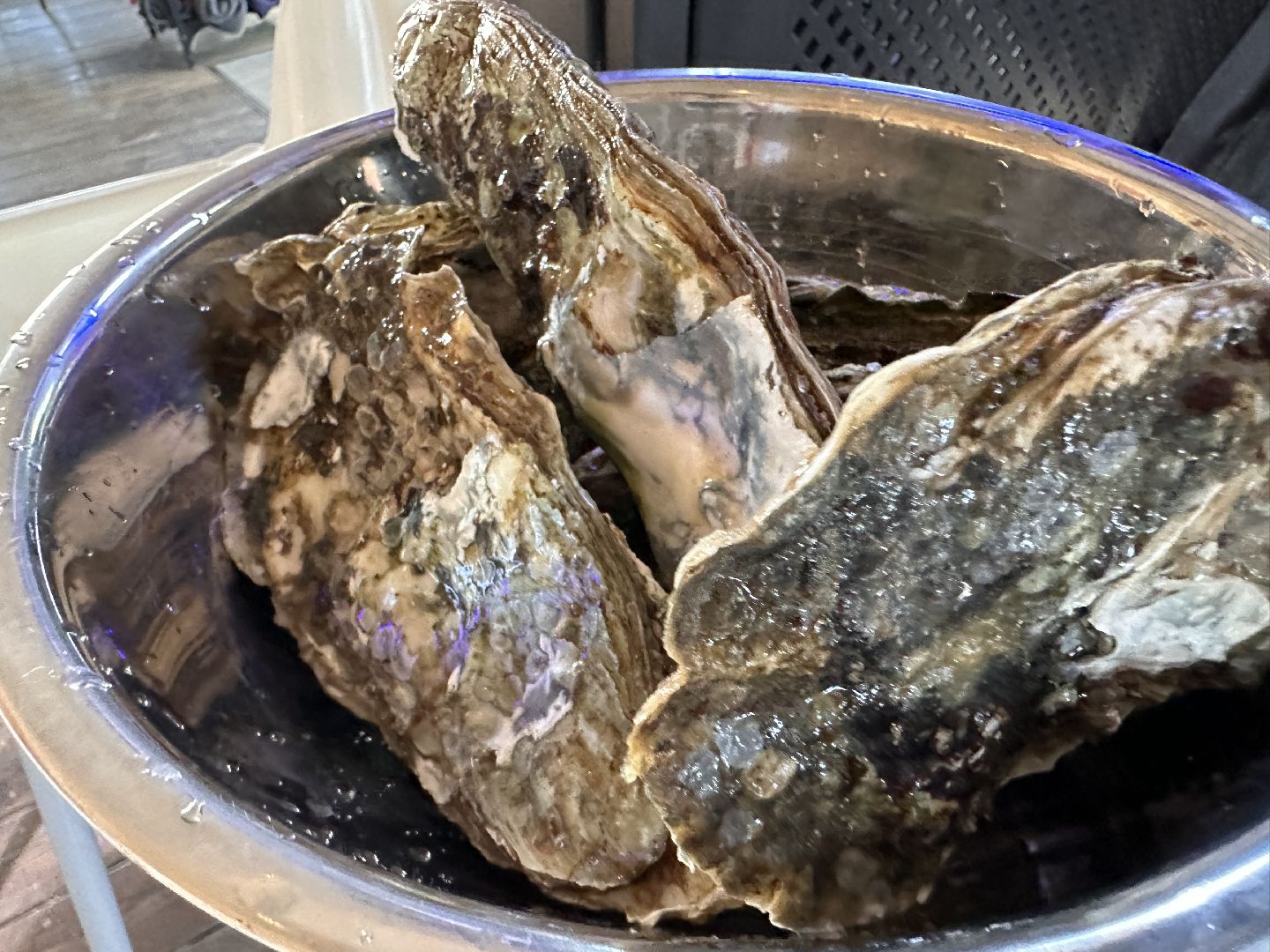 Одинцово, Малевич, Парки Подмосковья, Туризм, ресторан, рецепт, устрицы, художники, живописцы, гастротуризм