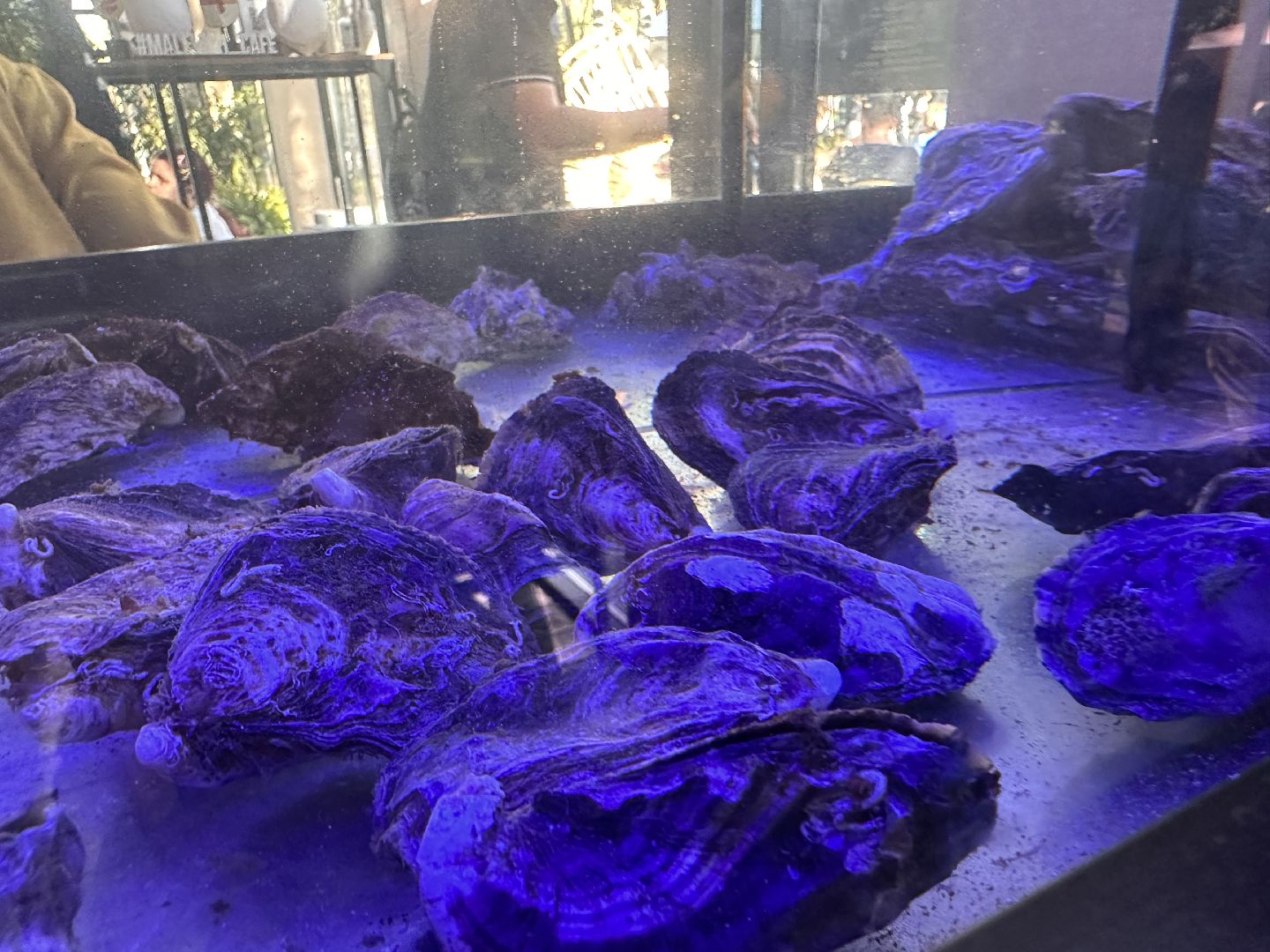 Одинцово, Малевич, Парки Подмосковья, Туризм, ресторан, рецепт, устрицы, художники, живописцы, гастротуризм