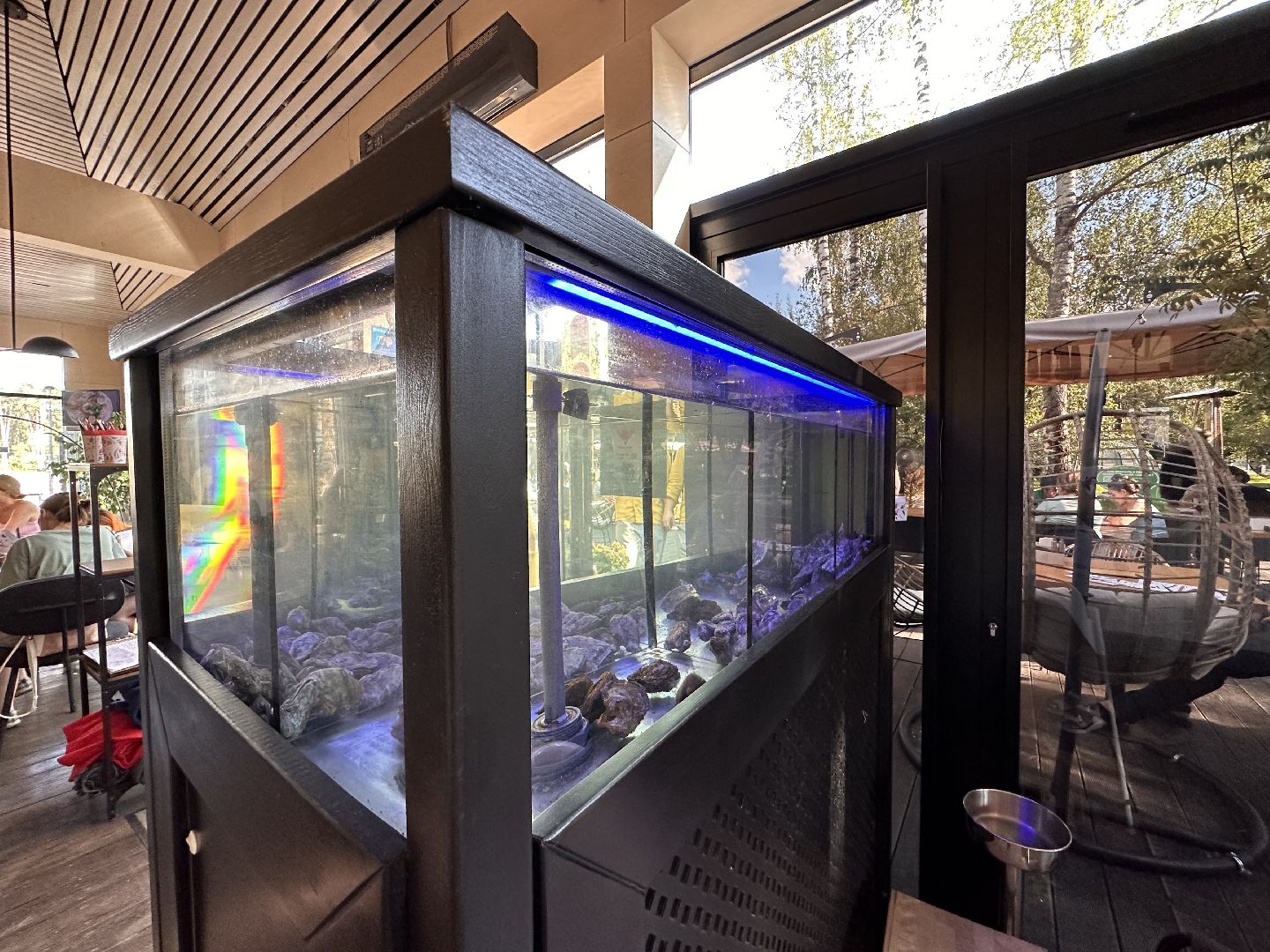 Одинцово, Малевич, Парки Подмосковья, Туризм, ресторан, рецепт, устрицы, художники, живописцы, гастротуризм