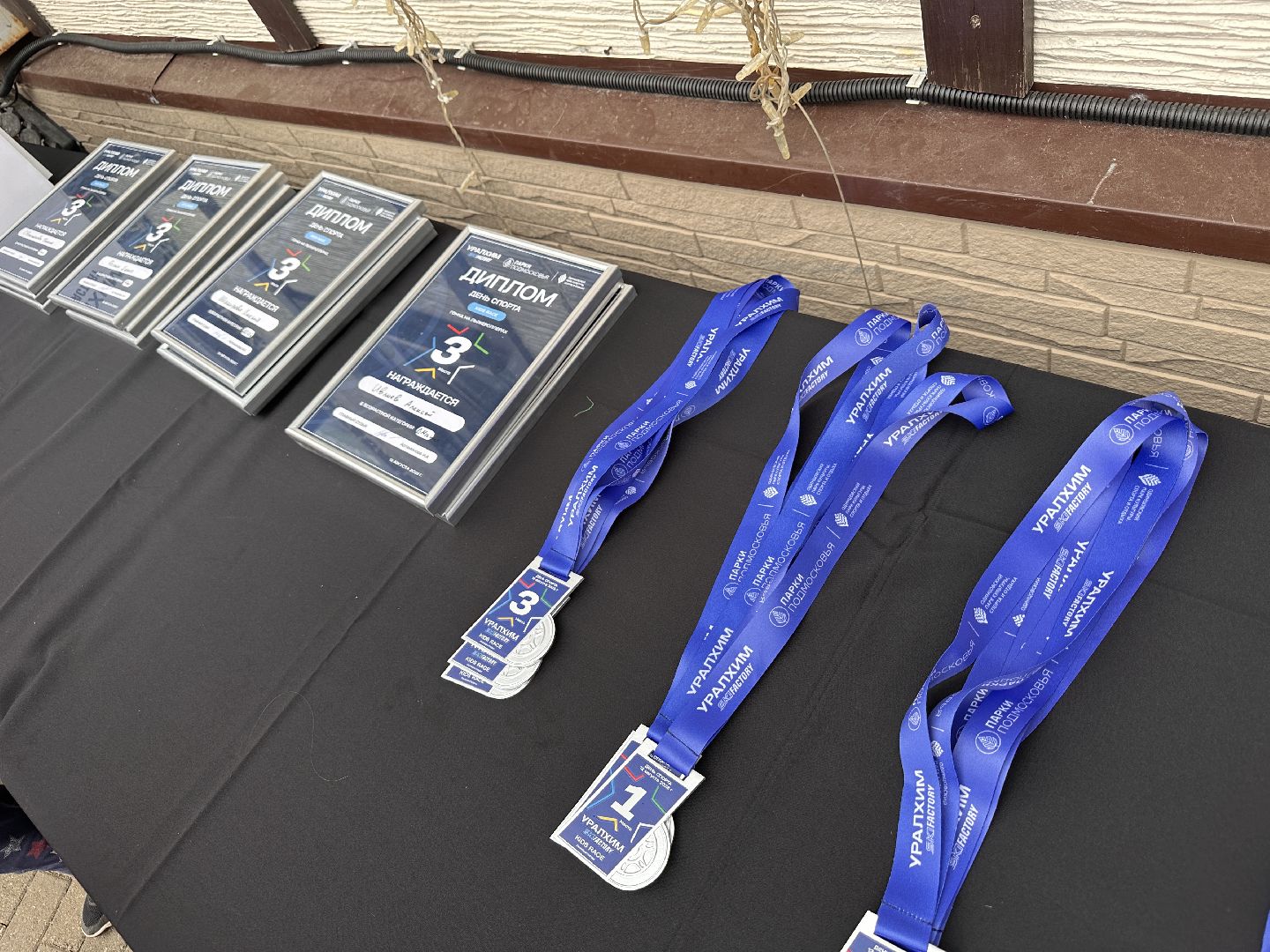 Одинцово, День Спорта, Парки Подмосковья, Лазутинка