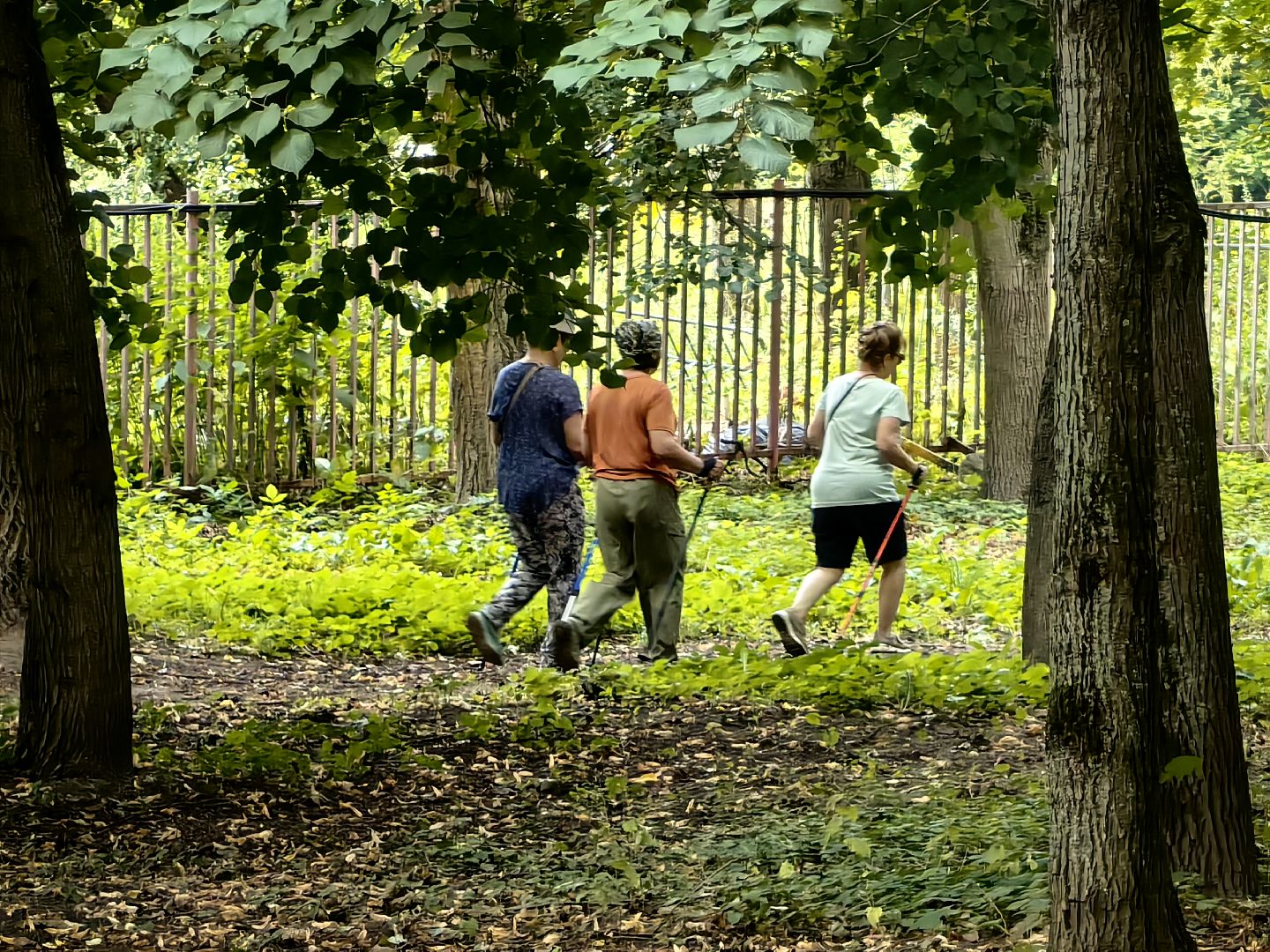 Ходьба, группа, Активное долголетие, парк