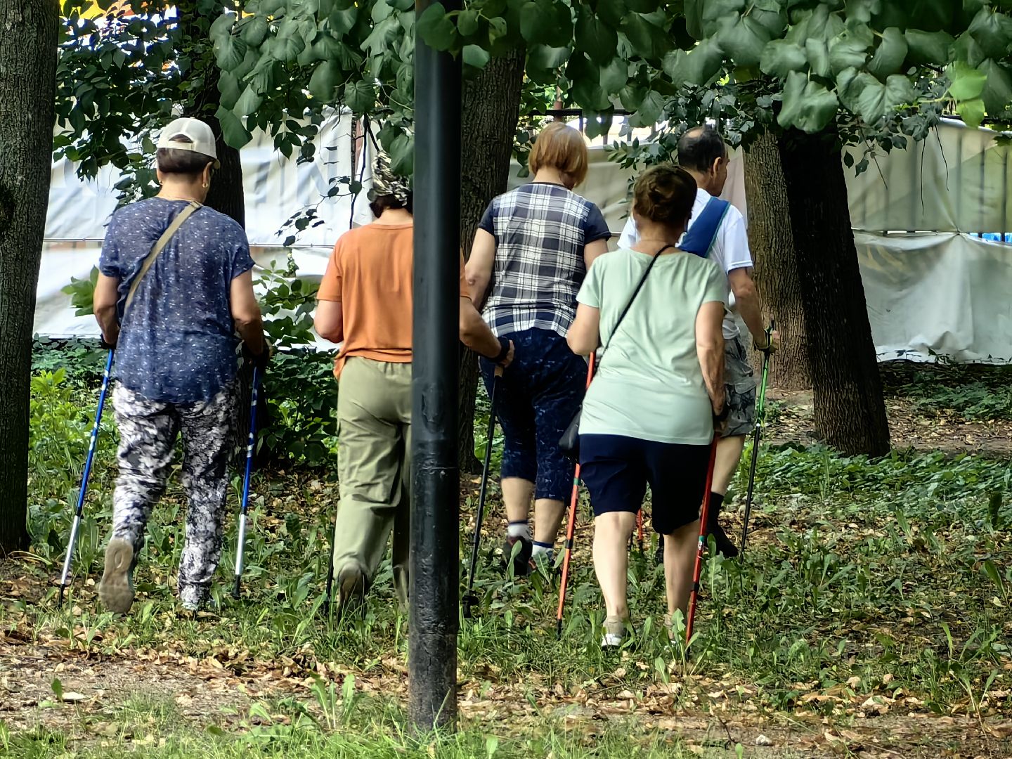 Ходьба, группа, Активное долголетие, парк
