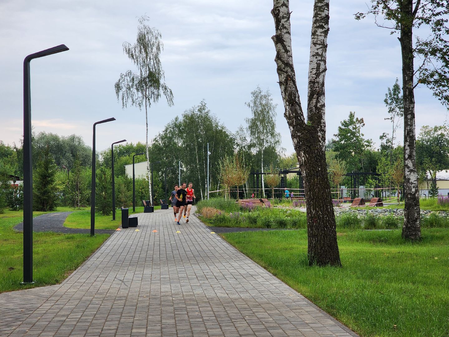Павловский Посад, городской округ Павловский Посад, спорт, бег, люди, парк, Дубрава