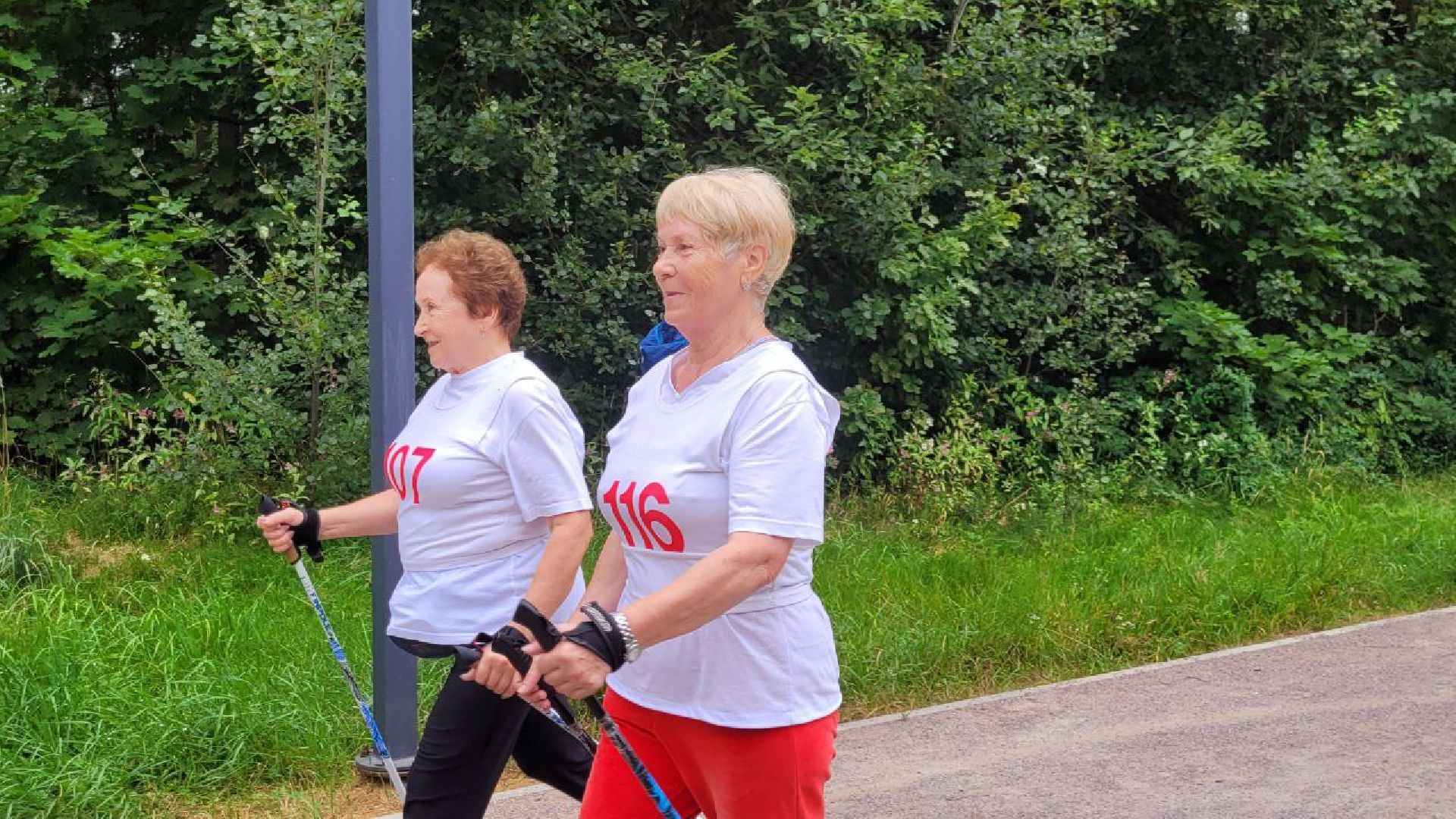 спорт; активное долголетие; физкультура; видное; апаринки