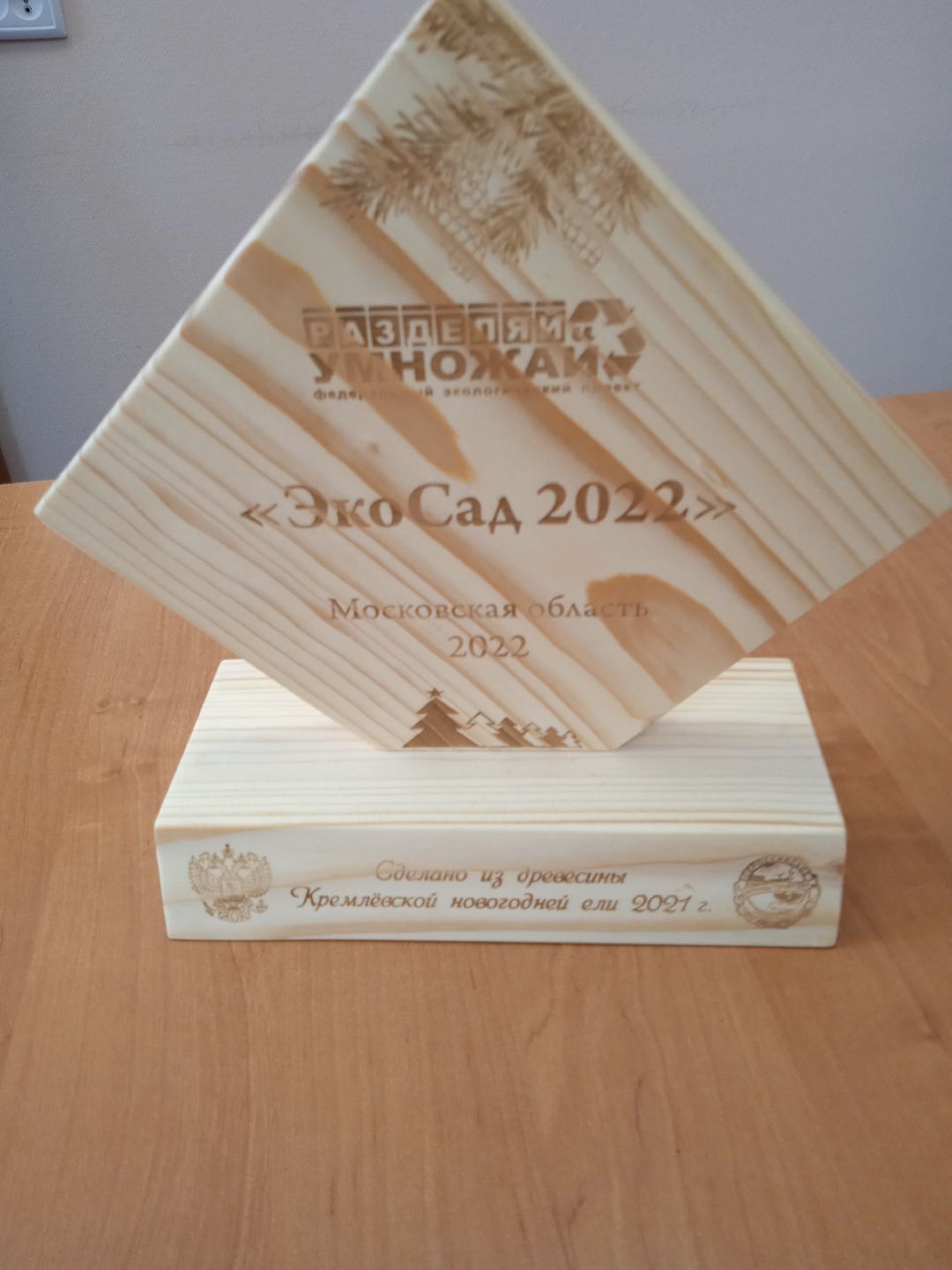 Экосад, экошкола, разделяй и умножай, проект, победители, Жуковский