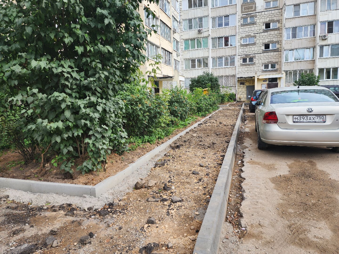 благоустройство дворов, благоустройство, жители, доброе дело, пушкино,