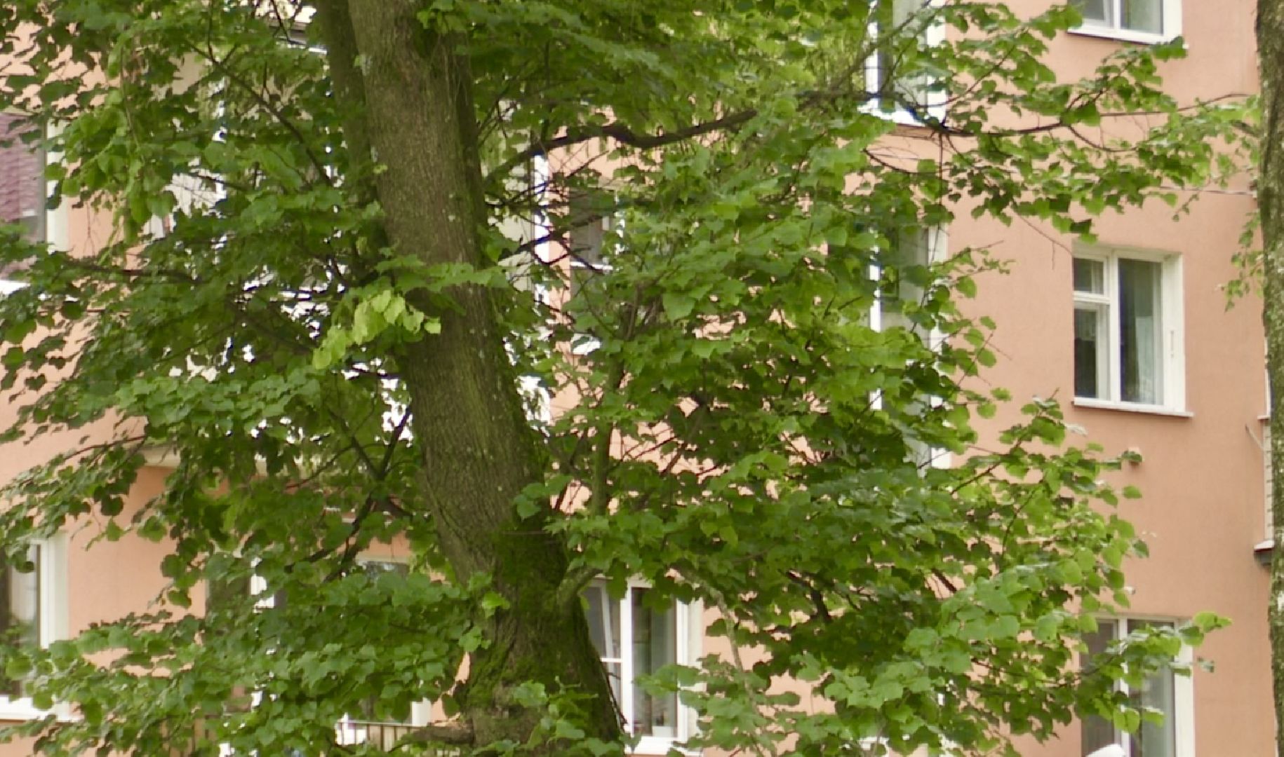 Клин, ЖКХ, общество, безопасность