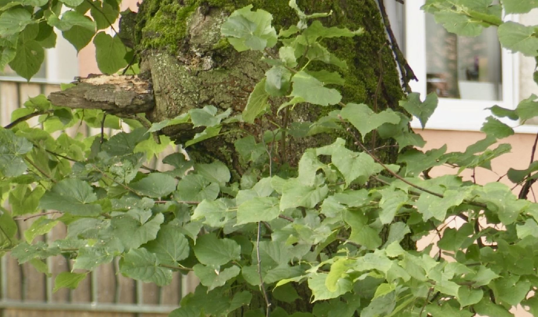 Клин, ЖКХ, общество, безопасность